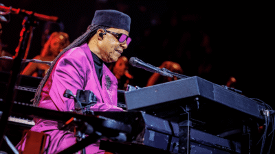 StevieWonder